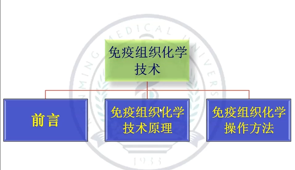 免疫组织化学技术