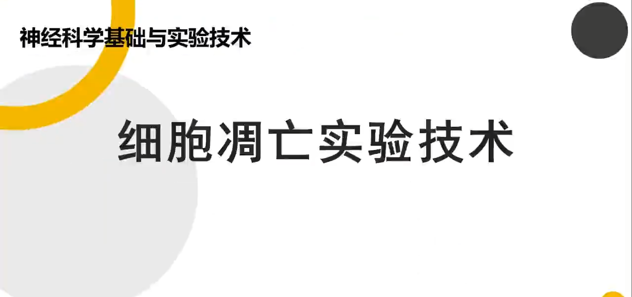 细胞凋亡实验技术